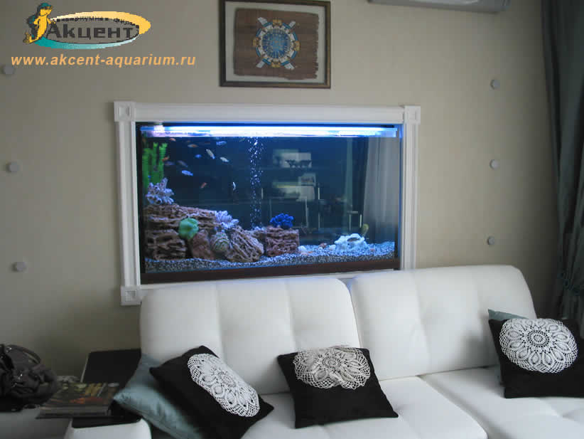 Акцент-Аквариум, аквариум просмотровый 500 литров вид со стороны гостиной
